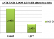 denta-health-distribution-of-the-length-of-the-anterior-loop-on-the-left-and-right-side-of-the-mandible